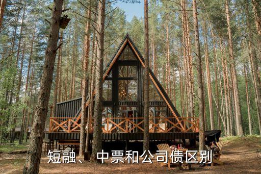 短融、 中票和公司債區(qū)別