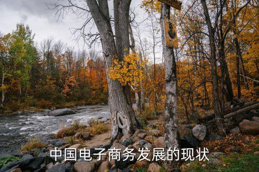 中國電子商務發(fā)展的現狀