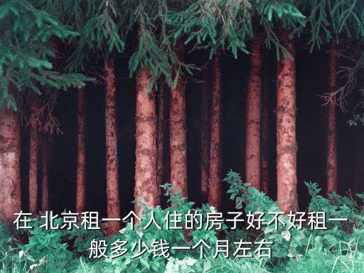 在 北京租一個(gè)人住的房子好不好租一般多少錢一個(gè)月左右