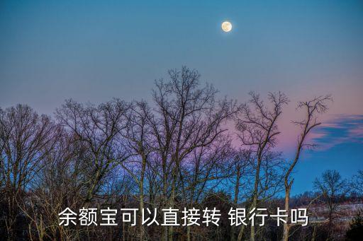余額寶轉(zhuǎn)出至銀行卡支持的銀行,支付寶余額寶轉(zhuǎn)出到銀行卡收費嗎