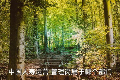 中國(guó)人壽運(yùn)營(yíng) 管理崗屬于哪個(gè)部門