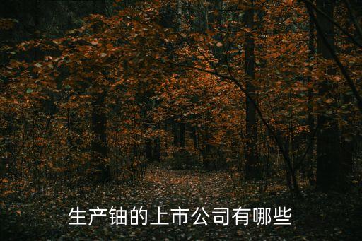 生產鈾的上市公司有哪些