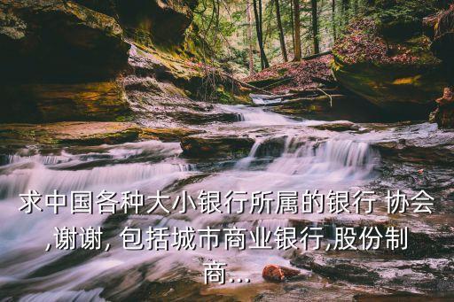 中國銀行業(yè)協(xié)會(huì)的會(huì)員單位包括,什么屬于中國銀行業(yè)協(xié)會(huì)的會(huì)員單位