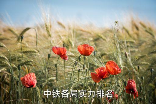 中鐵各局實力排名