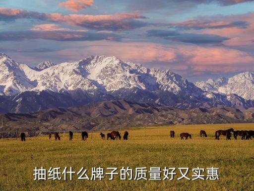 抽紙什么牌子的質量好又實惠