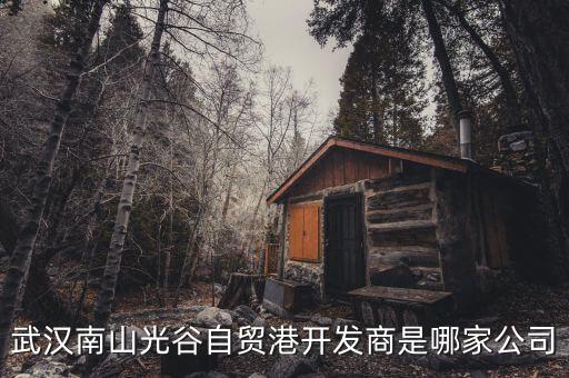 武漢南山光谷自貿(mào)港開(kāi)發(fā)商是哪家公司