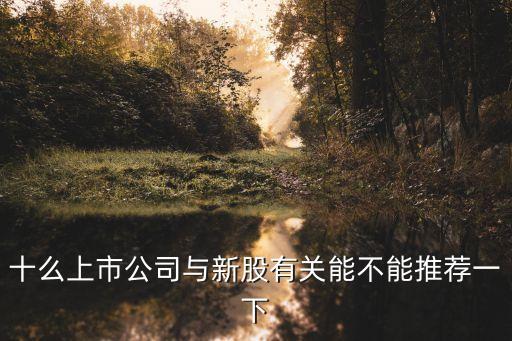 十么上市公司與新股有關能不能推薦一下