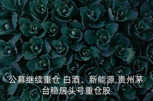 公募繼續(xù)重倉(cāng) 白酒、新能源,貴州茅臺(tái)穩(wěn)居頭號(hào)重倉(cāng)股