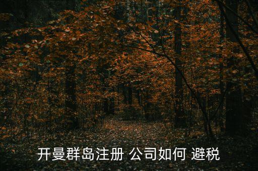 開曼群島注冊(cè) 公司如何 避稅