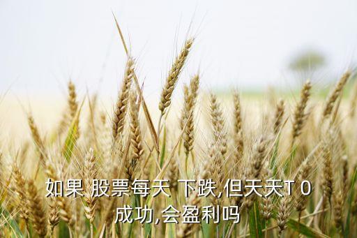 如果 股票每天 下跌,但天天T 0成功,會(huì)盈利嗎