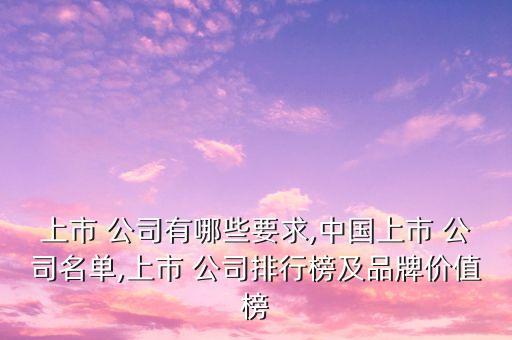上市 公司有哪些要求,中國上市 公司名單,上市 公司排行榜及品牌價(jià)值榜