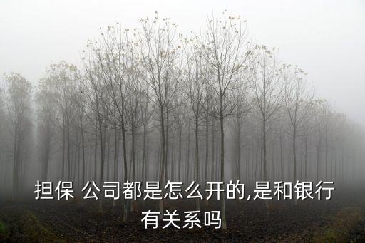 擔保公司如何包裝