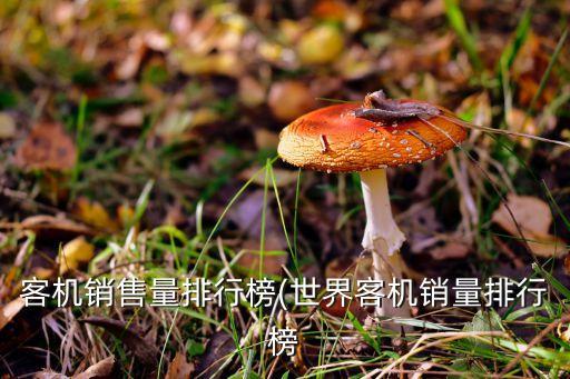 客機(jī)銷(xiāo)售量排行榜(世界客機(jī)銷(xiāo)量排行榜