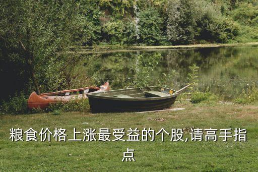 糧食價格上漲最受益的個股,請高手指點