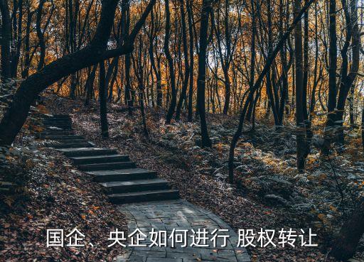 國(guó)企、央企如何進(jìn)行 股權(quán)轉(zhuǎn)讓