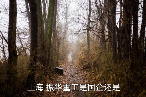  上海 振華重工是國(guó)企還是