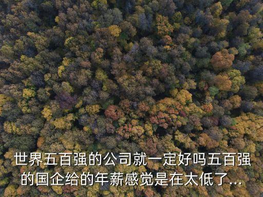  世界五百?gòu)?qiáng)的公司就一定好嗎五百?gòu)?qiáng)的國(guó)企給的年薪感覺(jué)是在太低了...