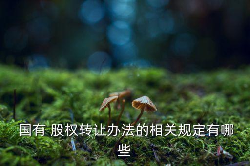 國有直投公司股權轉讓股權需集團公司審批