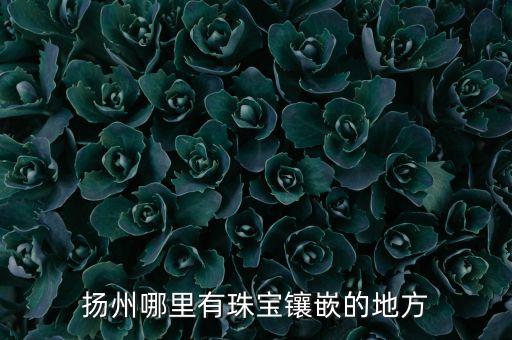 揚州哪里有珠寶鑲嵌的地方