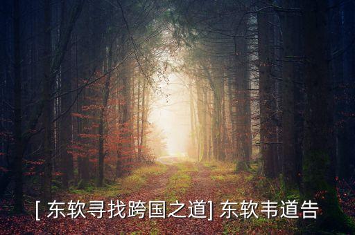[ 東軟尋找跨國(guó)之道] 東軟韋道告