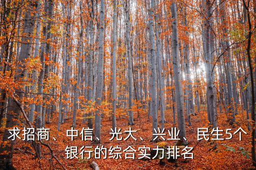 求招商、中信、光大、興業(yè)、民生5個(gè) 銀行的綜合實(shí)力排名