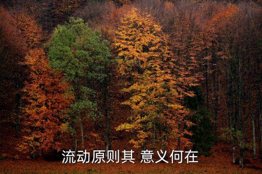 流動原則其 意義何在