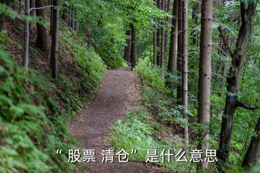 已清倉(cāng)股票,東方財(cái)富怎么查看已清倉(cāng)股票