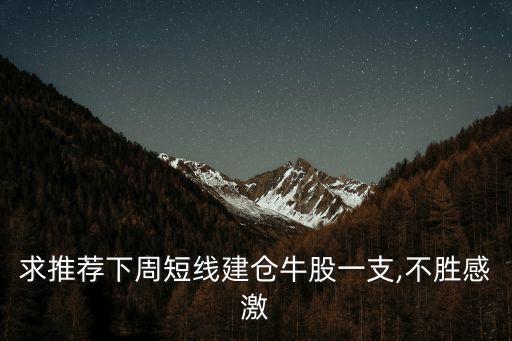 求推薦下周短線建倉(cāng)牛股一支,不勝感激