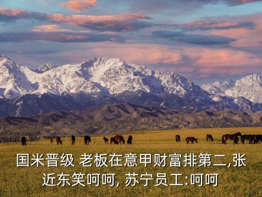 蘇寧地產(chǎn)在中國(guó)排名,中國(guó)地產(chǎn)排名前十名