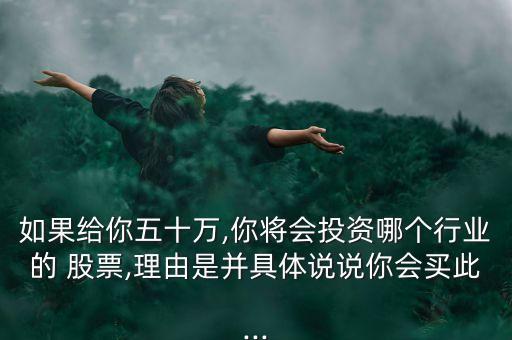 如果給你五十萬,你將會(huì)投資哪個(gè)行業(yè)的 股票,理由是并具體說說你會(huì)買此...