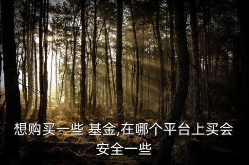 基金銷售渠道審慎調(diào)查,在開展基金銷售渠道審慎調(diào)查時(shí)
