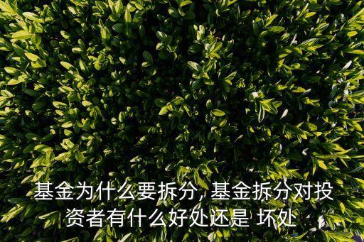 基金為什么要拆分, 基金拆分對投資者有什么好處還是 壞處