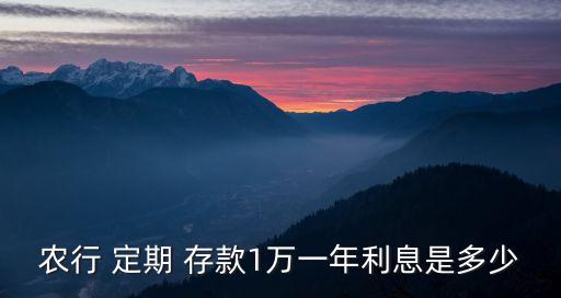 農(nóng)行 定期 存款1萬(wàn)一年利息是多少