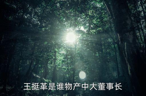 王挺革是誰(shuí)物產(chǎn)中大董事長(zhǎng)