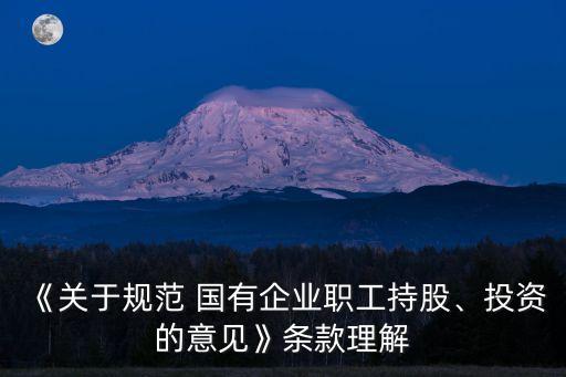 《關(guān)于規(guī)范 國(guó)有企業(yè)職工持股、投資的意見(jiàn)》條款理解