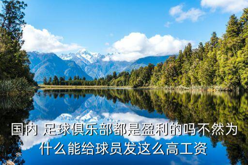 國(guó)內(nèi) 足球俱樂(lè)部都是盈利的嗎不然為什么能給球員發(fā)這么高工資