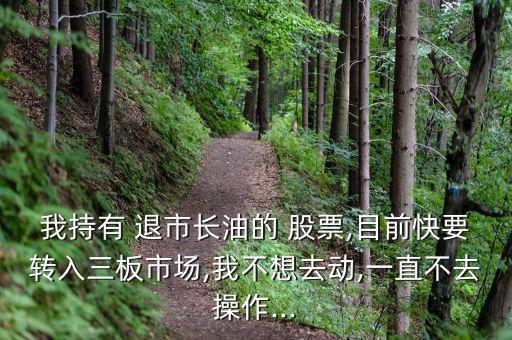 退市后長(zhǎng)航油運(yùn)股票代碼,長(zhǎng)航油運(yùn)的股票代碼