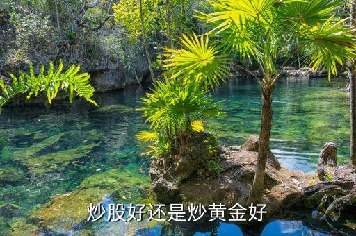 股票與金銀,股票金銀河有創(chuàng)新兩個(gè)字