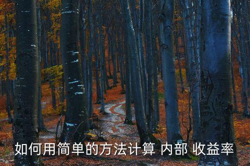 如何用簡單的方法計算 內部 收益率