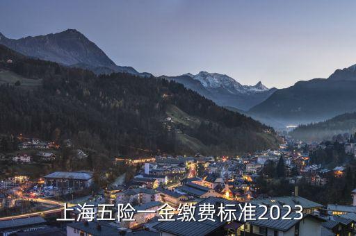  上海五險(xiǎn)一金繳費(fèi)標(biāo)準(zhǔn)2023