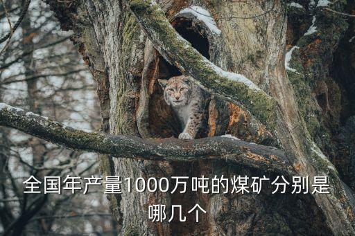全國年產(chǎn)量1000萬噸的煤礦分別是哪幾個