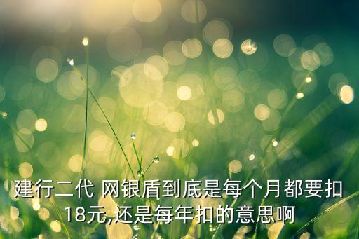 建設(shè)銀行網(wǎng)銀盾費用