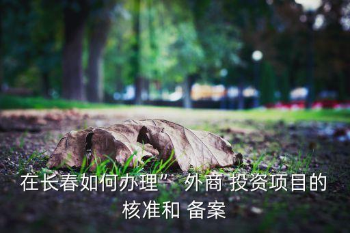 在長(zhǎng)春如何辦理” 外商 投資項(xiàng)目的核準(zhǔn)和 備案