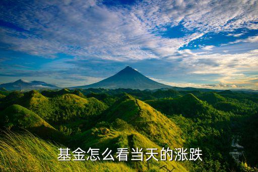  基金怎么看當天的漲跌