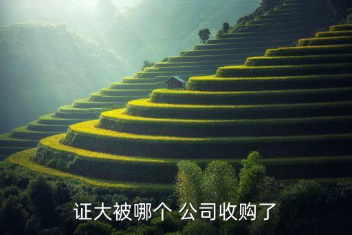 證大被哪個(gè) 公司收購(gòu)了