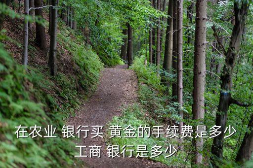 黃金存銀行怎樣收費(fèi),在銀行買賣黃金怎么收費(fèi)