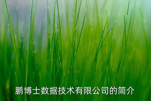鵬博士數(shù)據(jù)技術(shù)有限公司的簡介