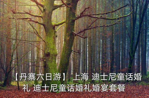 【丹寨六日游】 上海 迪士尼童話婚禮 迪士尼童話婚禮婚宴套餐