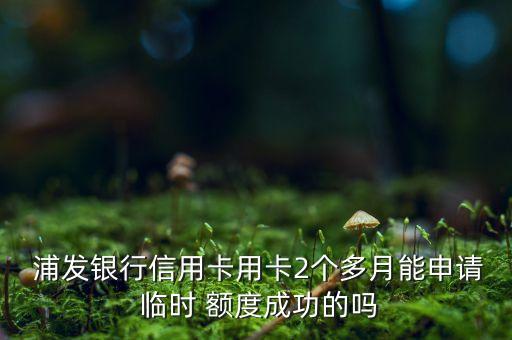  浦發(fā)銀行信用卡用卡2個(gè)多月能申請(qǐng) 臨時(shí) 額度成功的嗎