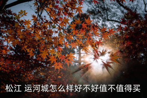 京津運(yùn)河投資,廣西運(yùn)河投資多少錢